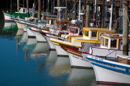Vissers bootjes bij Fisherman&#039;s warf